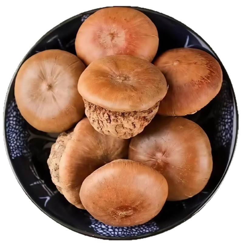 Feng Liu Guo (Lithocarpus/Sclerophyllous Oak Fruit) — Dried Food Herb for Wine Infusion & Soup - Image 5