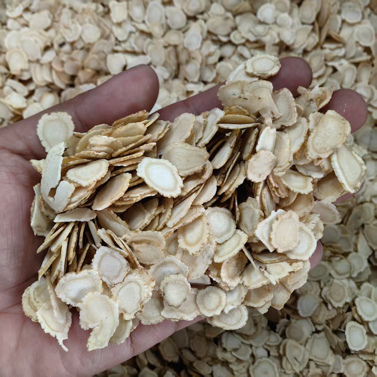 American Ginseng Slices Xi Yang Shen 500g Dried Panax quinquefolius Root for Tea and Decoction - Image 2