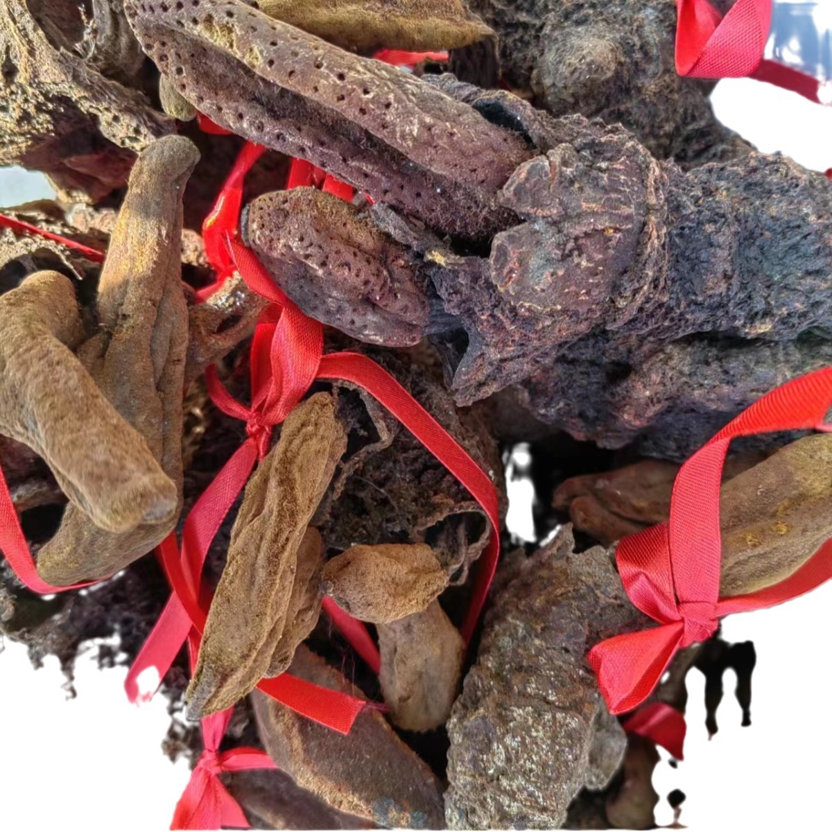 Xu Yang Cao (Ding Tian Zhu / Hui Chun Cao) — Dried Food Herb for Wine & Tea Infusion - Image 5