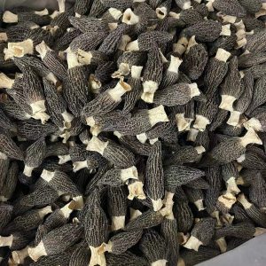 Morel Mushroom (Morchella spp.) — Dried Yunnan Wild-Harvested Whole Mushrooms for Soup & Tea