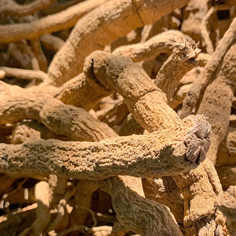 Shan Hu Jiao Root (Lindera glauca) — Dried Food Herb Root for Decoction & Soup - Image 2