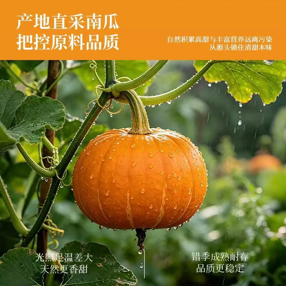 Probiotic Red Bean Pumpkin Brown Rice Drink 30ml x 7 Sachets Ready-to-Drink Herbal Botanical Beverage - Image 2