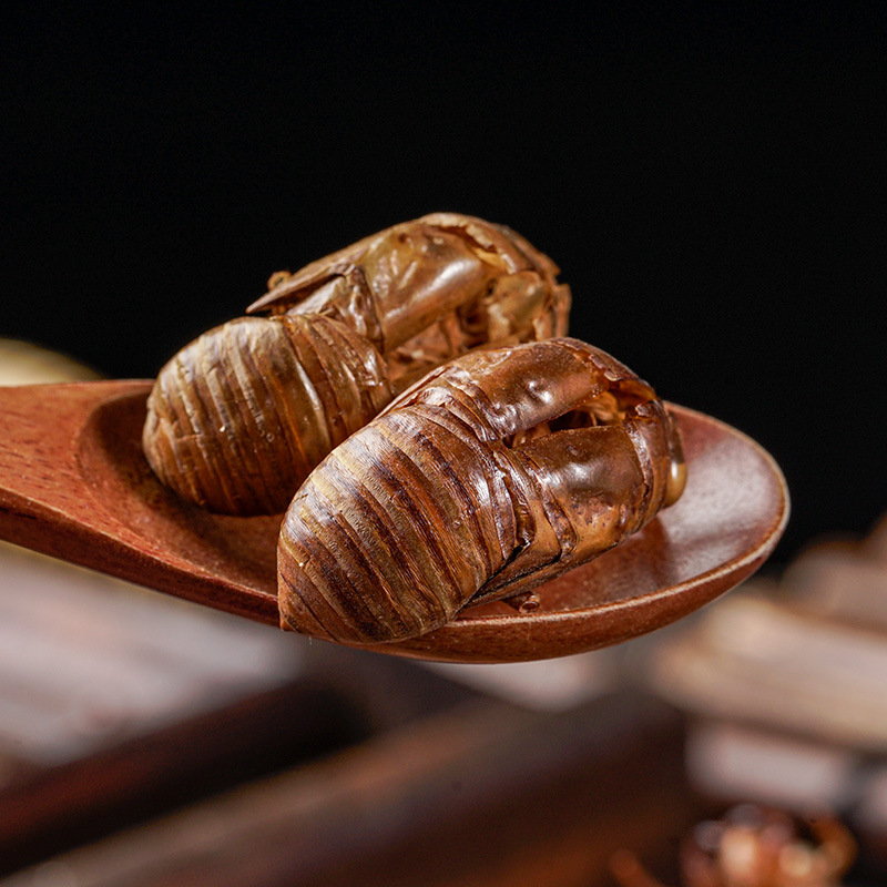 Chan Tui (Cicada Slough) — Washed Dried Cicada Molt for TCM Tea & Decoction - Image 4