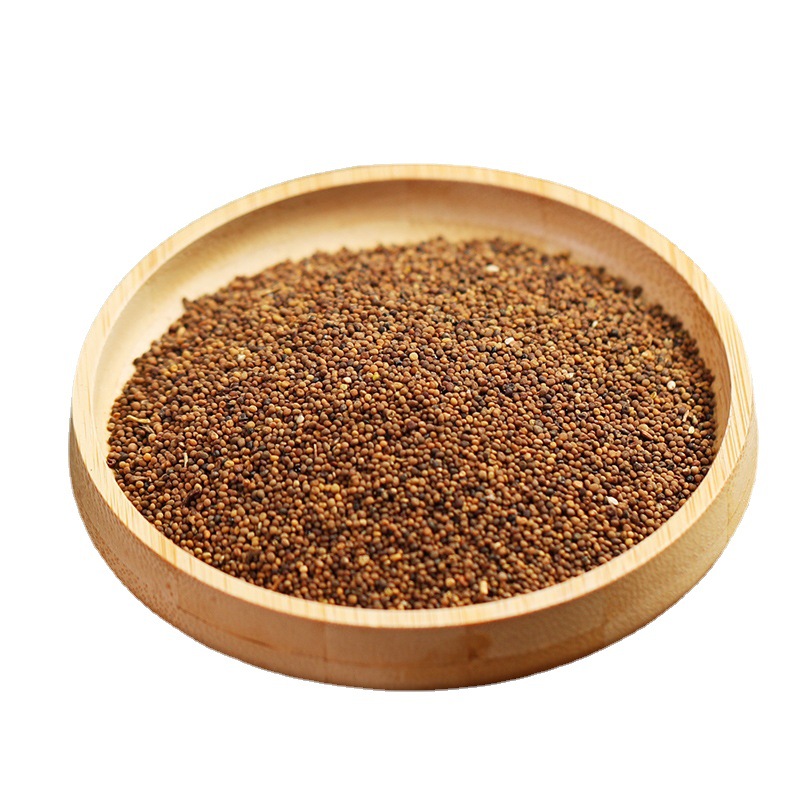 Tu Si Zi (Cuscuta chinensis) — Washed Dodder Seed, 500g Food Herb for Tea & Tonic Blends - Image 2