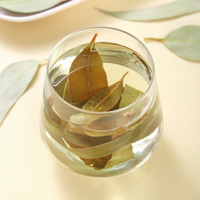 Eucalyptus Leaves (Eucalyptus globulus) — Dried Blue Gum Leaf for Sachets & Herbal Blends - Image 3
