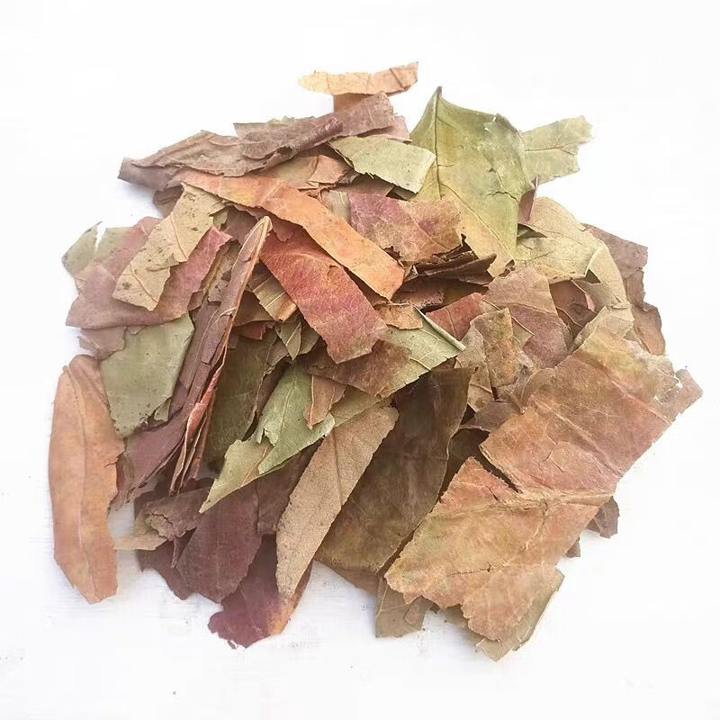 Dried Persimmon Leaf Tea Shi Ye 柿叶 Traditional Herbal Tea 500g Harvested After Frost - Image 5
