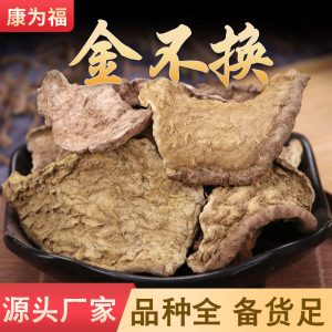 Jin Bu Huan Root (Rumex japonicus) — Dried Yang Ti Gen / Tu Da Huang Herb, 500g