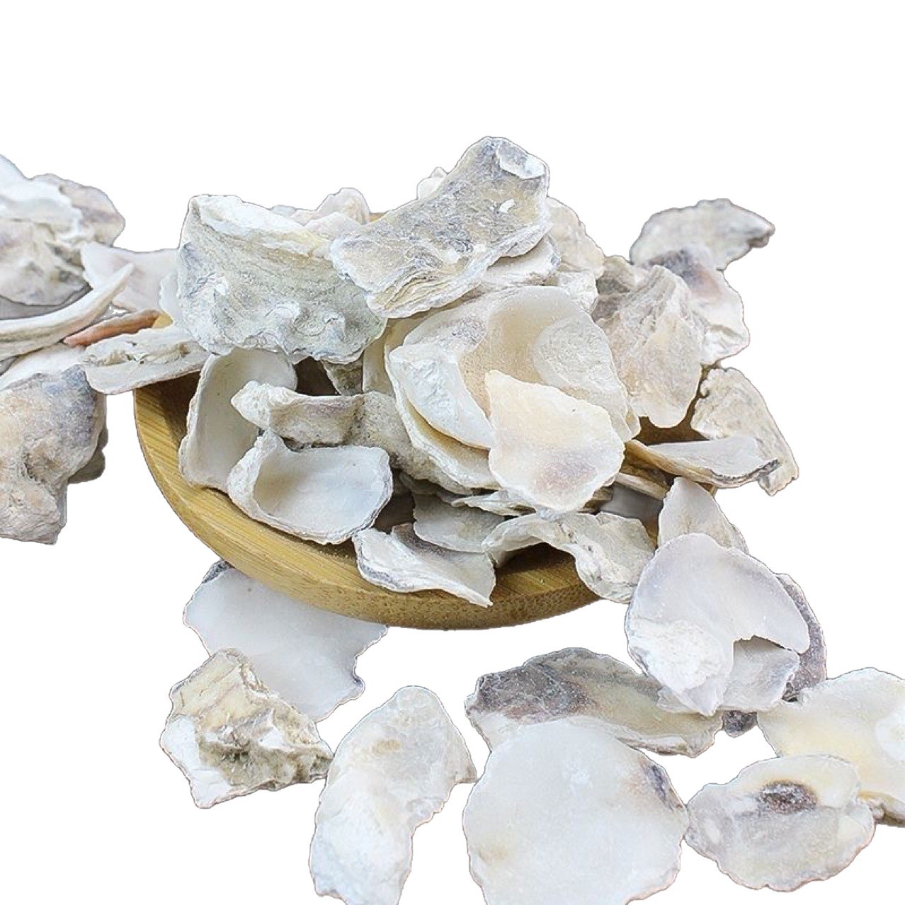 Mu Li Shell (Ostrea gigas) — Dried Oyster Shell Pieces, Food-Herb Mineral Herb 500g - Image 5