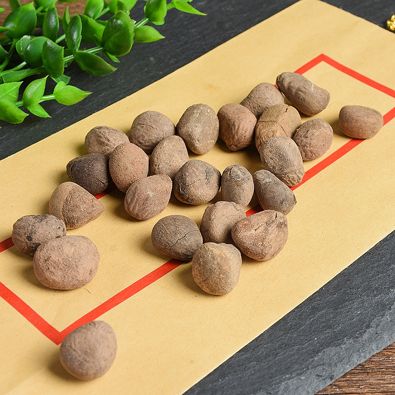 Da Feng Zi (Hydnocarpus anthelminticus) — Dried Chaulmoogra Seeds, Raw Herb Supply - Image 2