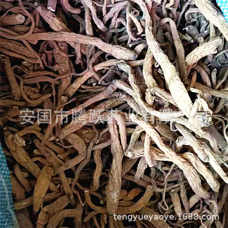 Tibetan Miguqin Root Sui Ye Cai Dried Herb 500g Traditional Herbal Decoction Ingredient - Image 2