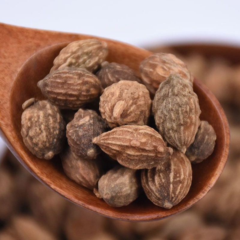 Yi Zhi Ren Dried Alpinia Oxyphylla Fruit 500g Traditional Herbal Tea and Decoction Ingredient - Image 2