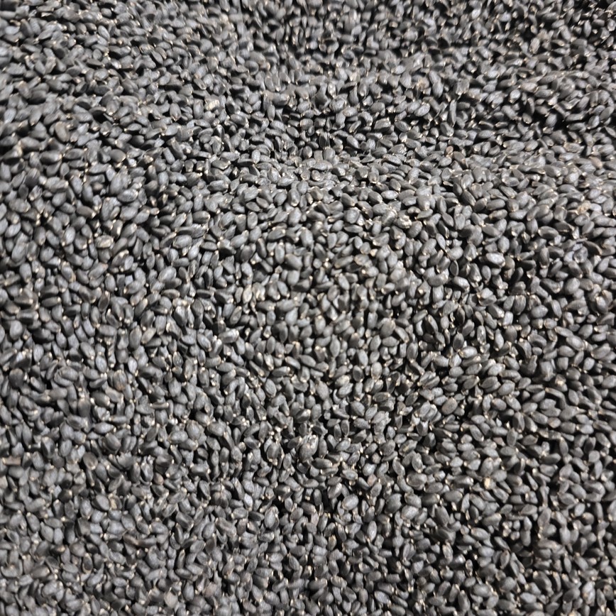 Lan Xiang Zi (Ocimum basilicum) — Basil Seeds for Herbal Drinks & Desserts - Image 5