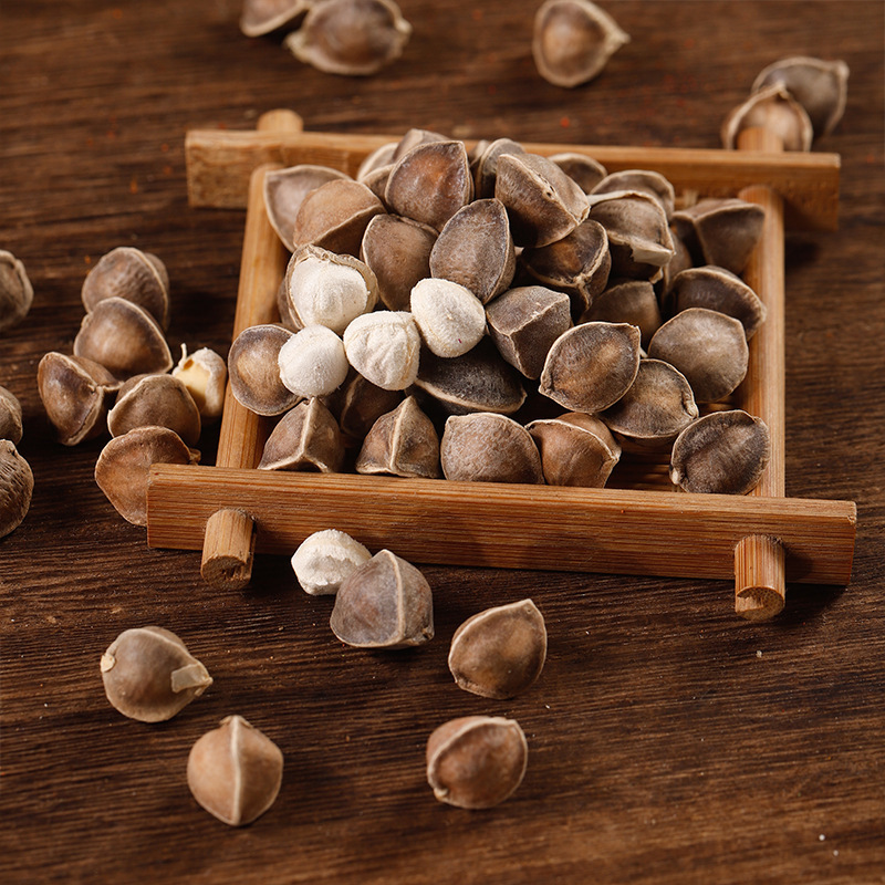 Moringa Seeds La Mu Zi Large Grade Dried Seeds 500g Bulk Pack - Image 3