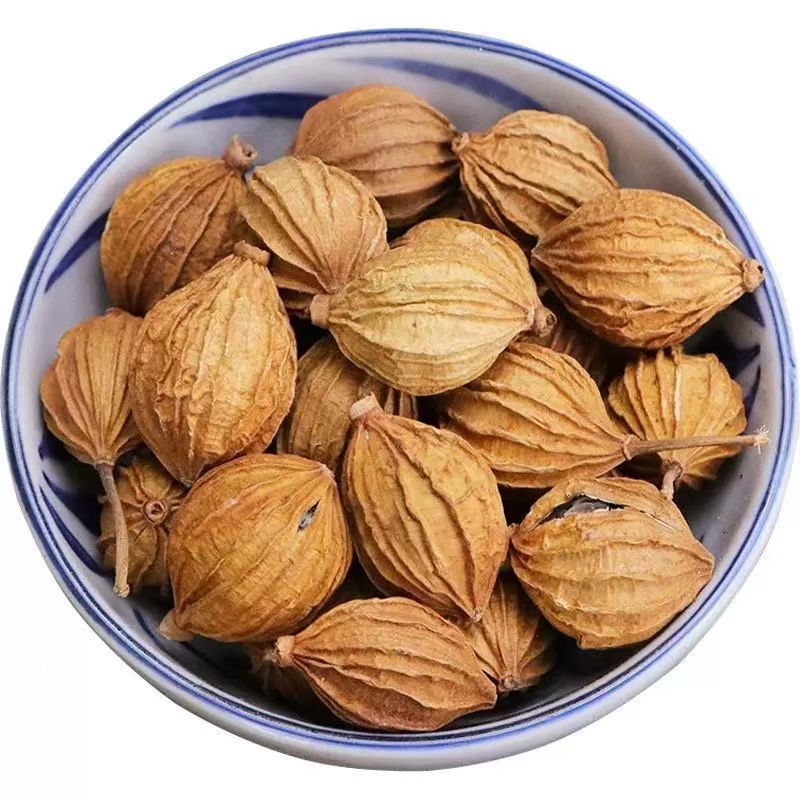 Xiang Sha Ren Fragrant Amomum 500g Sichuan Dried Culinary Herb for Braising Stews and Marinades - Image 5