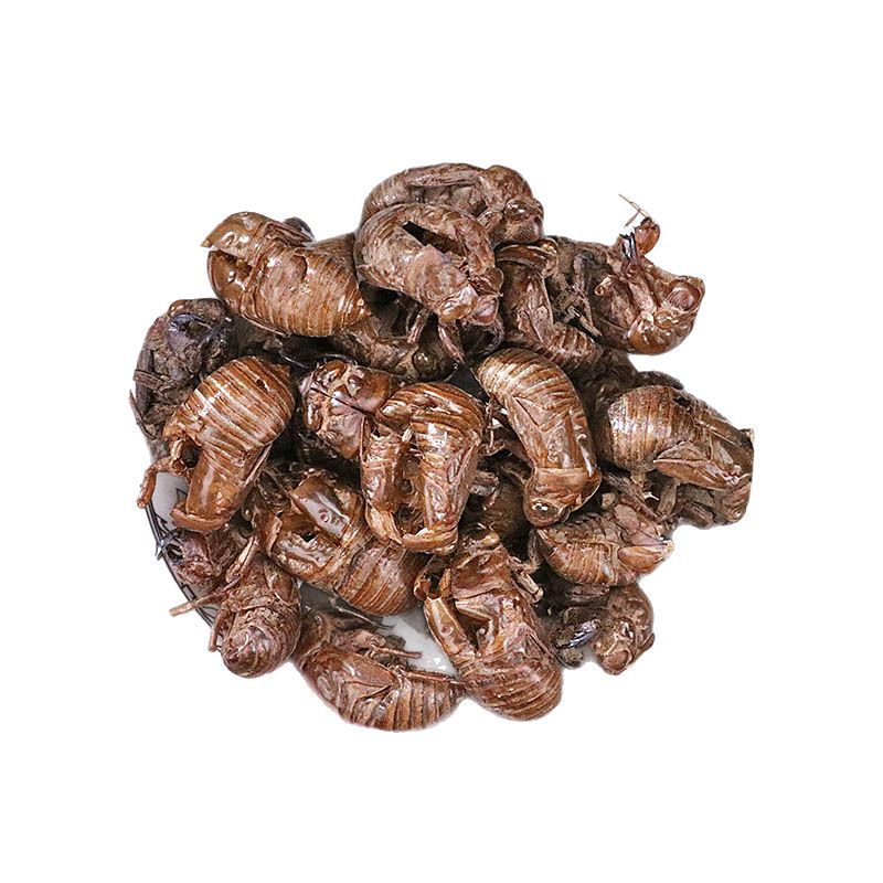 Cicada Slough Chan Tui 500g Dried Traditional Chinese Herb for Decoction and Tea - Image 5