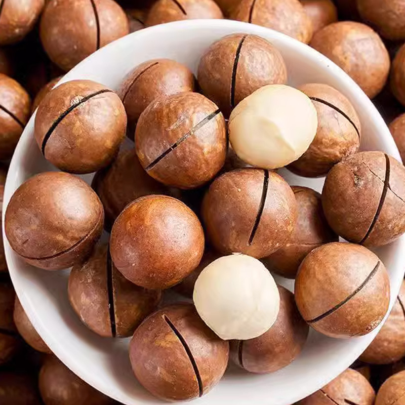 Macadamia Nuts (Macadamia integrifolia) — Creamy Jumbo Raw Food Nut, 500g - Image 3