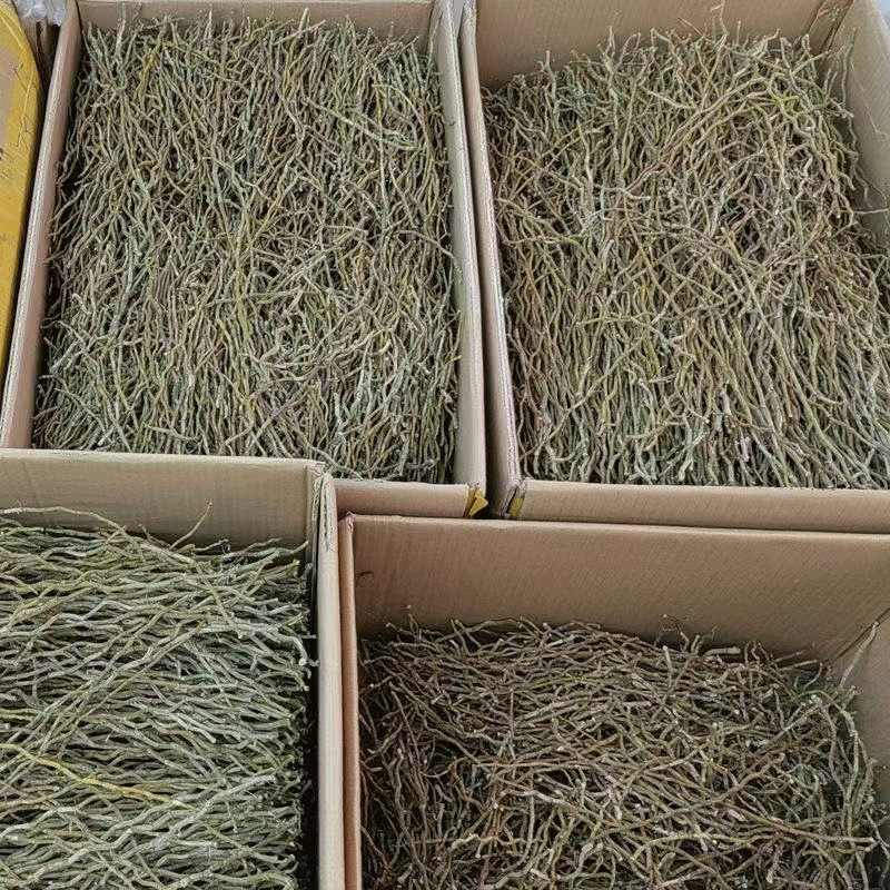 Tie Pi Shi Hu Dried Dendrobium Stems 500g for Tea and Soup - Image 4