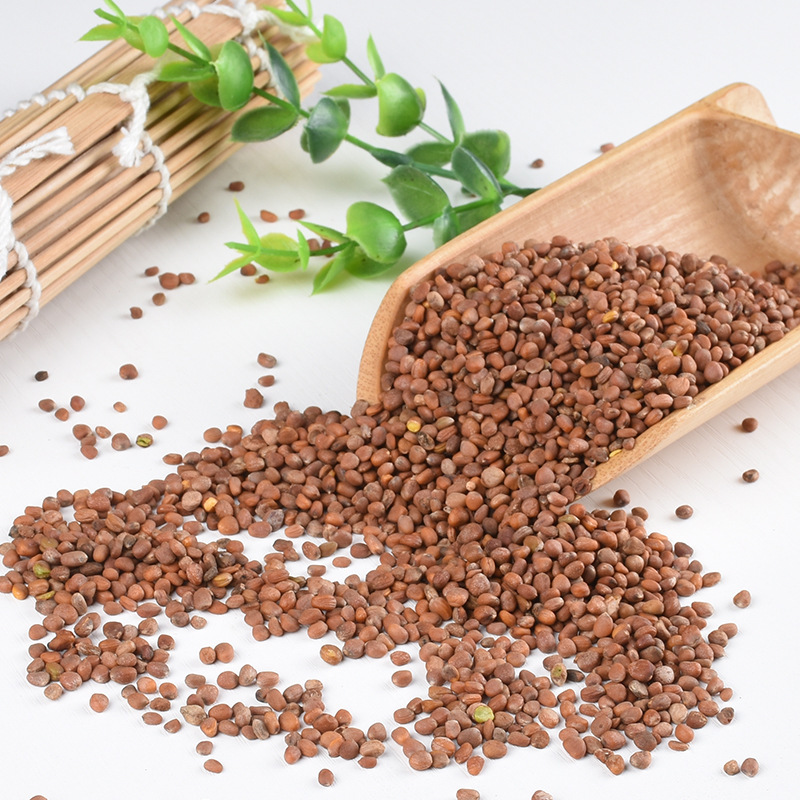 Radish Seed Lai Fu Zi 500g Dried Raphanus sativus Seeds for Decoction and Tea - Image 3