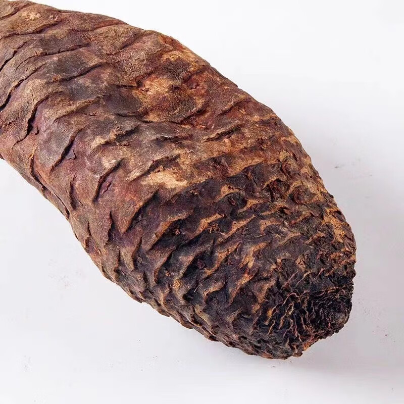 Cistanche Deserticola Rou Cong Rong Sliced Dried Herb 500g for Decoction and Herbal Wine - Image 2