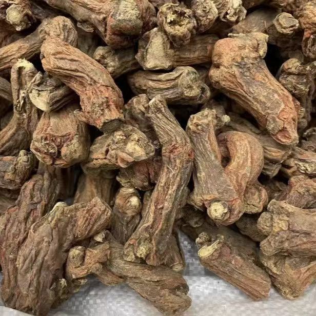 Dried Danshen Root Heads Dan Shen Whole Salvia miltiorrhiza for Decoction 500g - Image 2