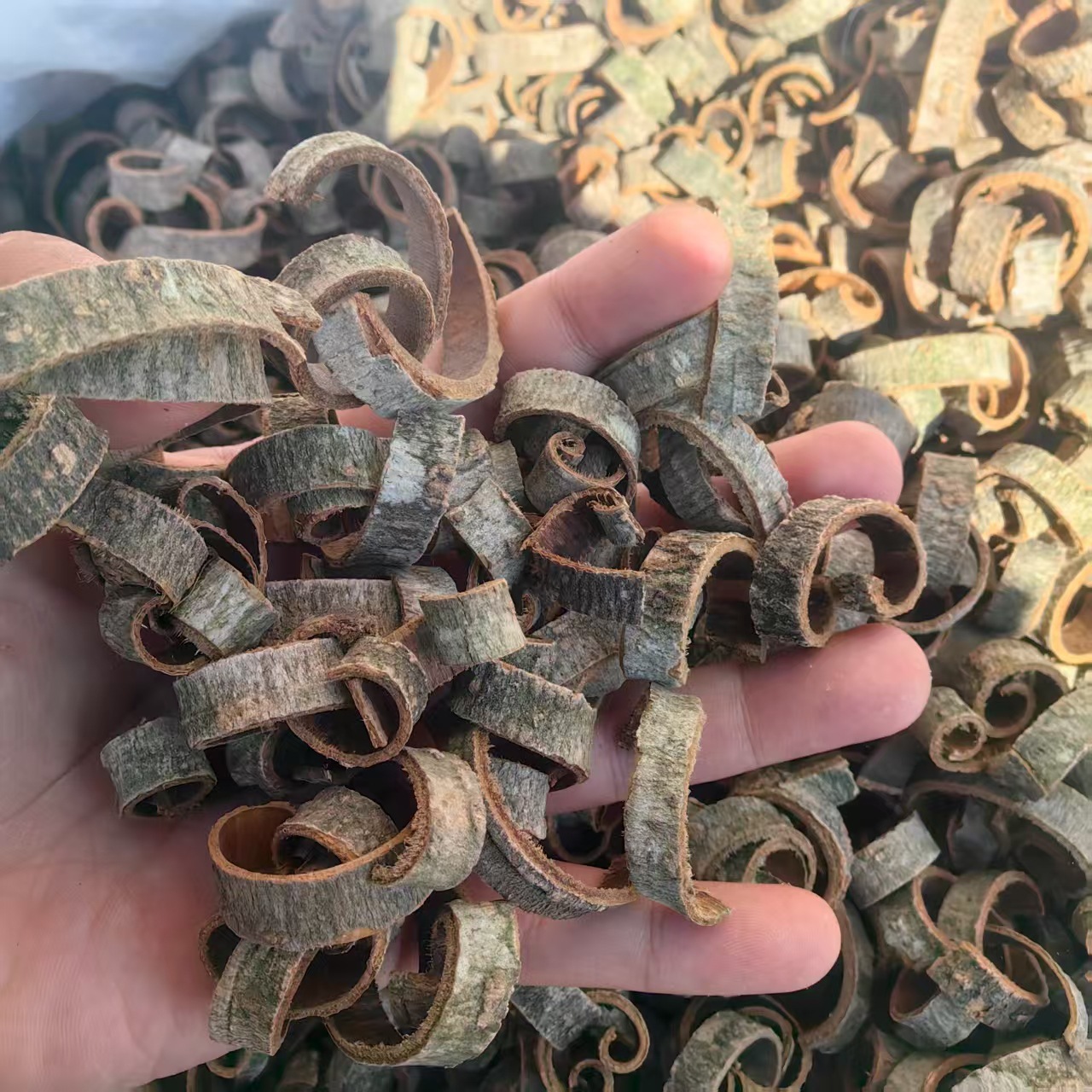 Magnolia Bark Hou Po 厚朴 Powder 500g Dried Herbal Powder for Decoction and Tea - Image 3