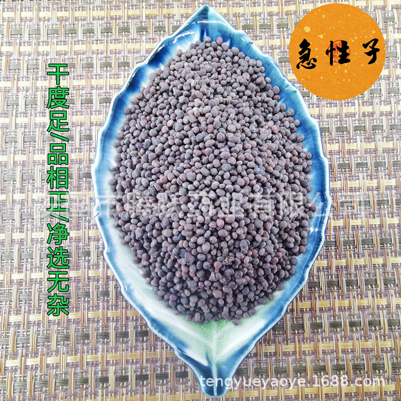 Dried Garden Balsam Seeds Ji Xing Zi 急性子 Impatiens balsamina Traditional Chinese Herb 500g Bag - Image 3