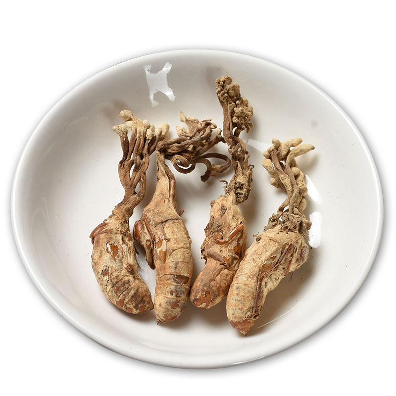 Golden Cicada Flower Cordyceps 500g Dried Fungal Herb Zhi Liao Hua Chan Jun for Decoction and Soup - Image 3