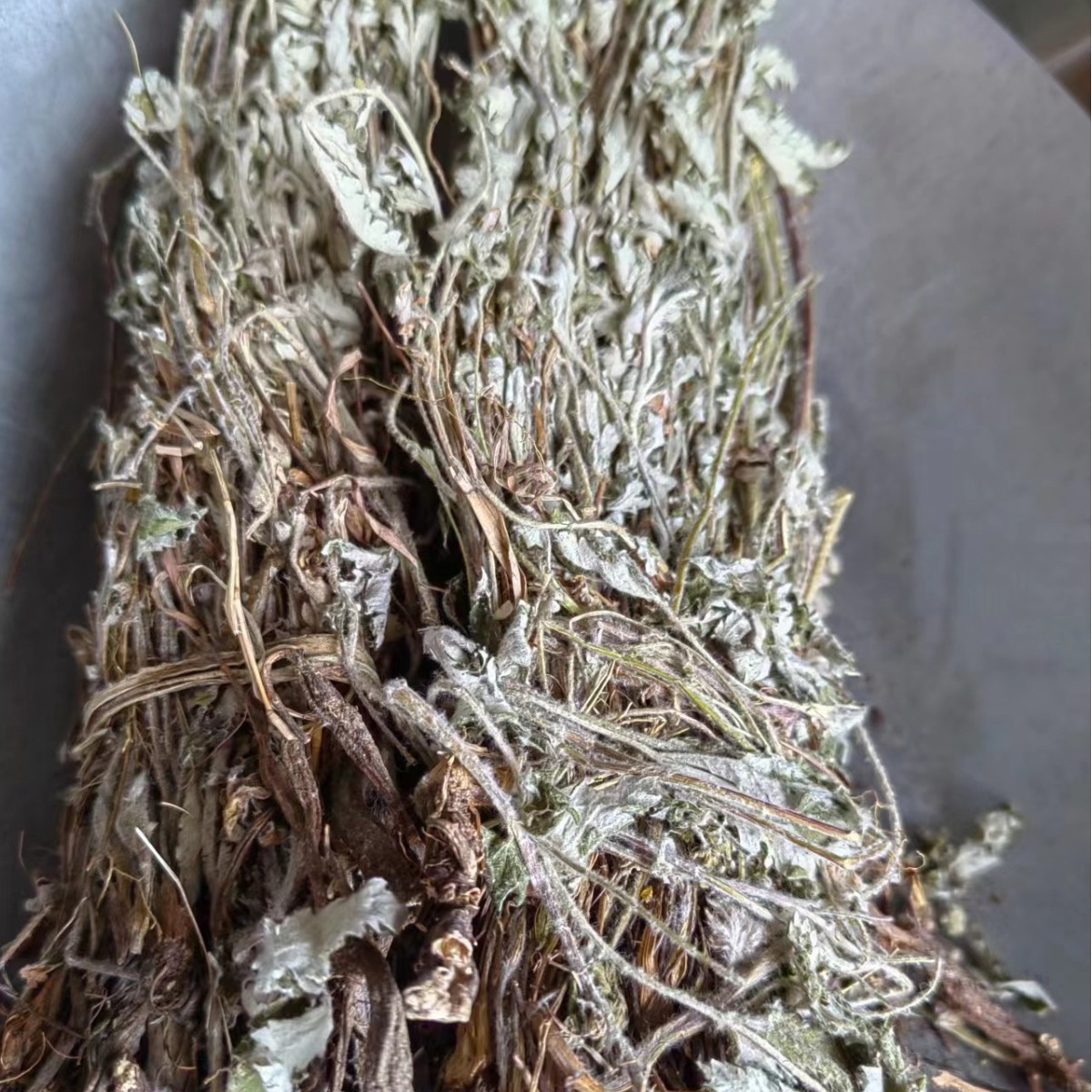 Fan Bai Cao (Potentilla discolor) — Dried Food Herb, Ultra-Fine Powder & Cut Form - Image 3