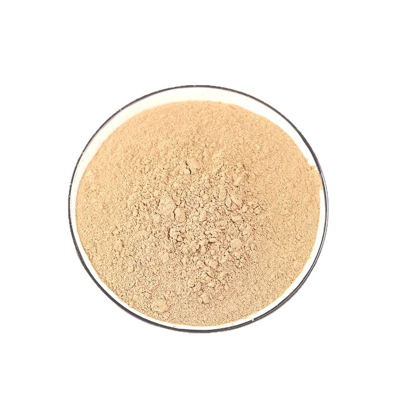 Chuan Duan Powder (Dipsacus asper) — Freshly Ground Ultra-Fine Xu Duan Root Powder, 500g - Image 5
