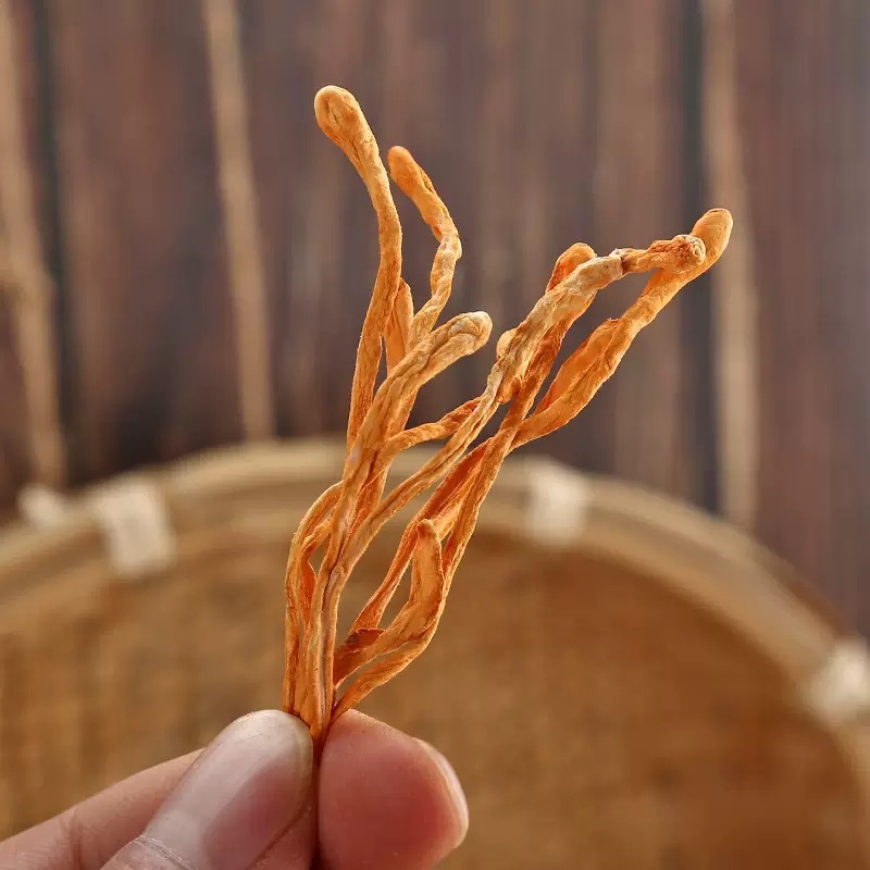 Cordyceps Flower Chong Cao Hua Dried Cordyceps Militaris Fruiting Bodies 500g for Soup and Tea - Image 3