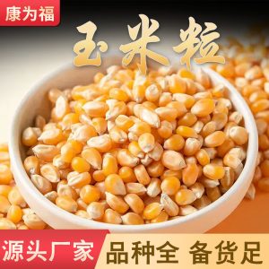 Dried Corn Kernels (Zea mays) — Sun-Dried Yellow Corn, 500g Food-Grade Grain