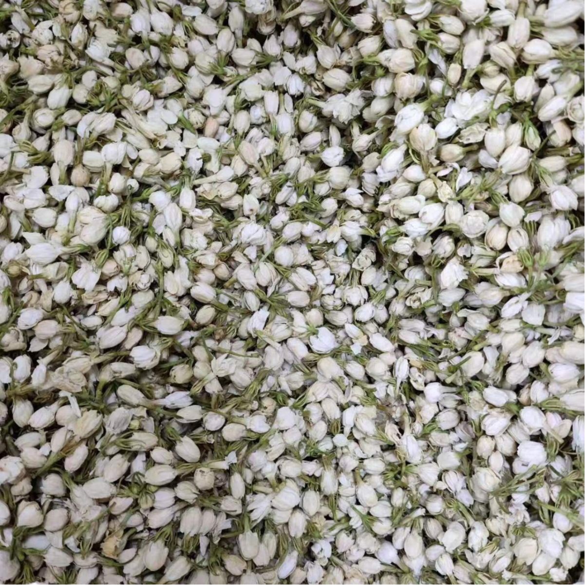Jasmine Flower (Jasminum sambac) — Dried Food-Herb Blossoms for Tea & Powder - Image 5