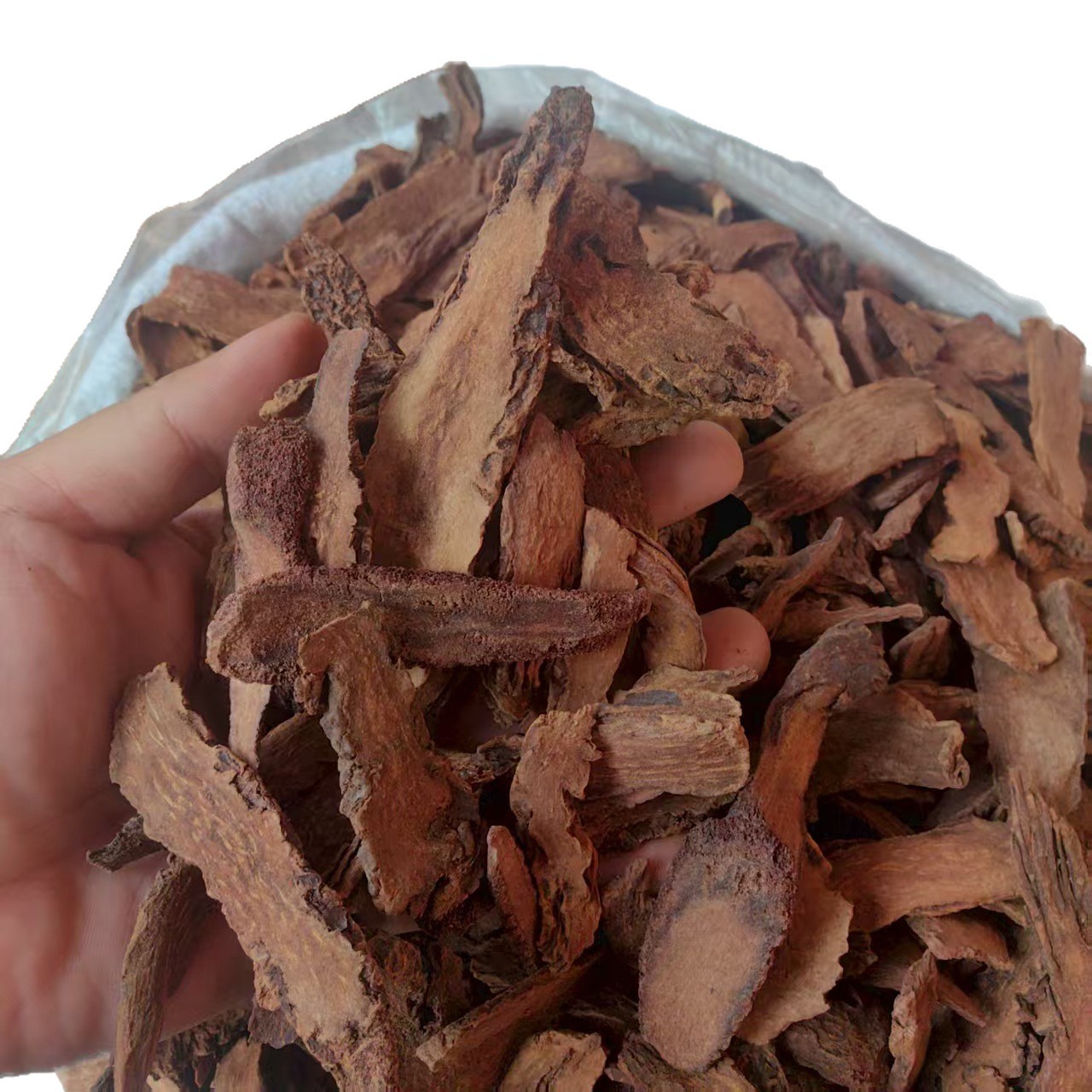 Cynomorium Slices Suo Yang 500g Dried Herbal Decoction Pieces Sun Dried - Image 4