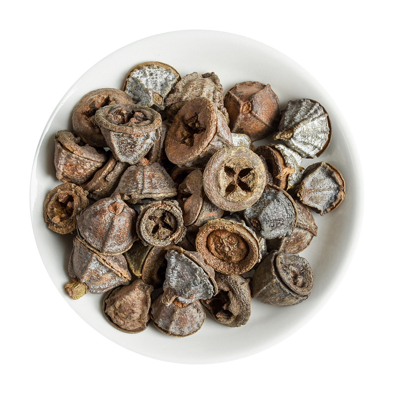 Yi Kou Zhong (Eucalyptus tereticornis) — Dried Herbal Fruit for Traditional Decoctions - Image 5