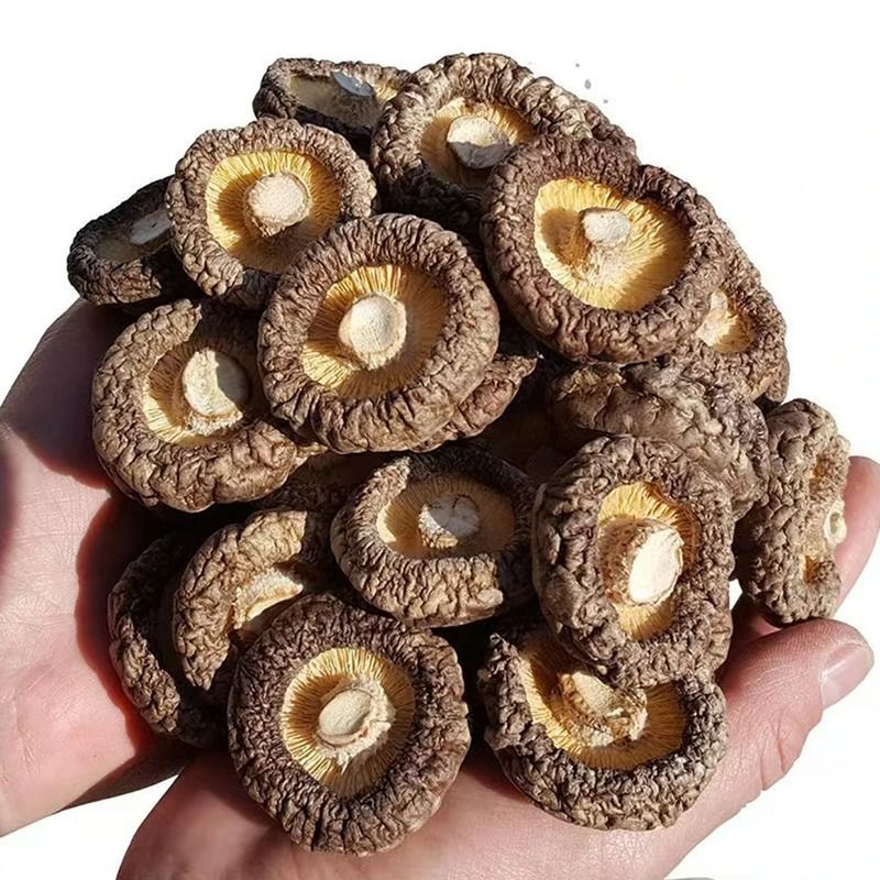 Dried Shiitake Mushrooms Xiang Gu Lentinula edodes Thick Caps Whole Dried Culinary Fungi 150g - Image 3