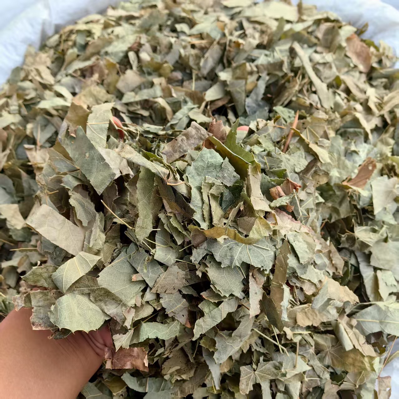 Epimedium Yin Yang Huo Dried Herb Sichuan Origin Traditional TCM Herbal Tea Ingredient 500g 1000g - Image 2