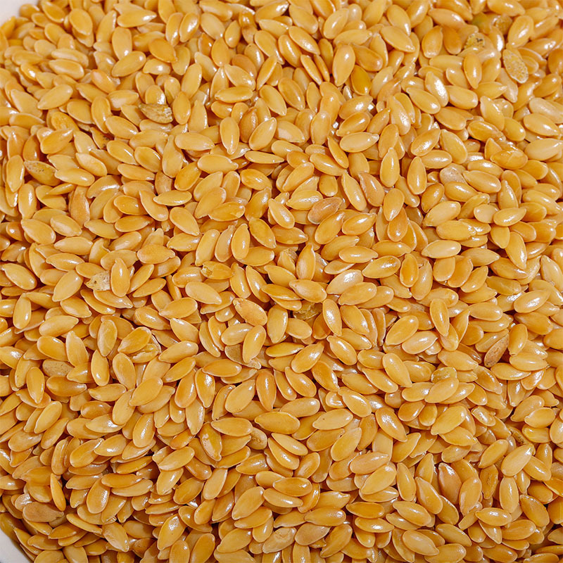 Golden Flaxseed Powder (Linum usitatissimum) — Low-Temperature Roasted, Freshly Ground - Image 4