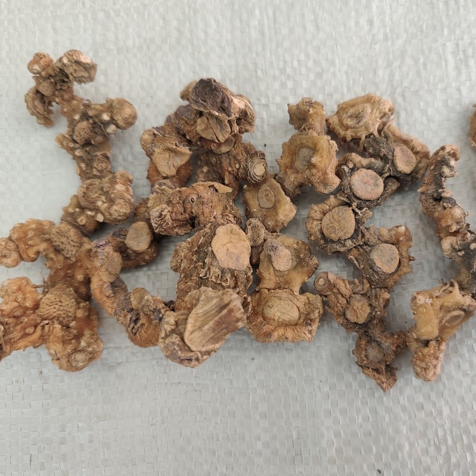 Dried Huangjing Polygonatum Root 500g Guizhou Mountain Herb for Wine Infusion and Cooking - Image 3