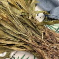 Jian Xue Qing (见血清) Dried Herbal Material — Traditional Chinese Herb, 500g - Image 3