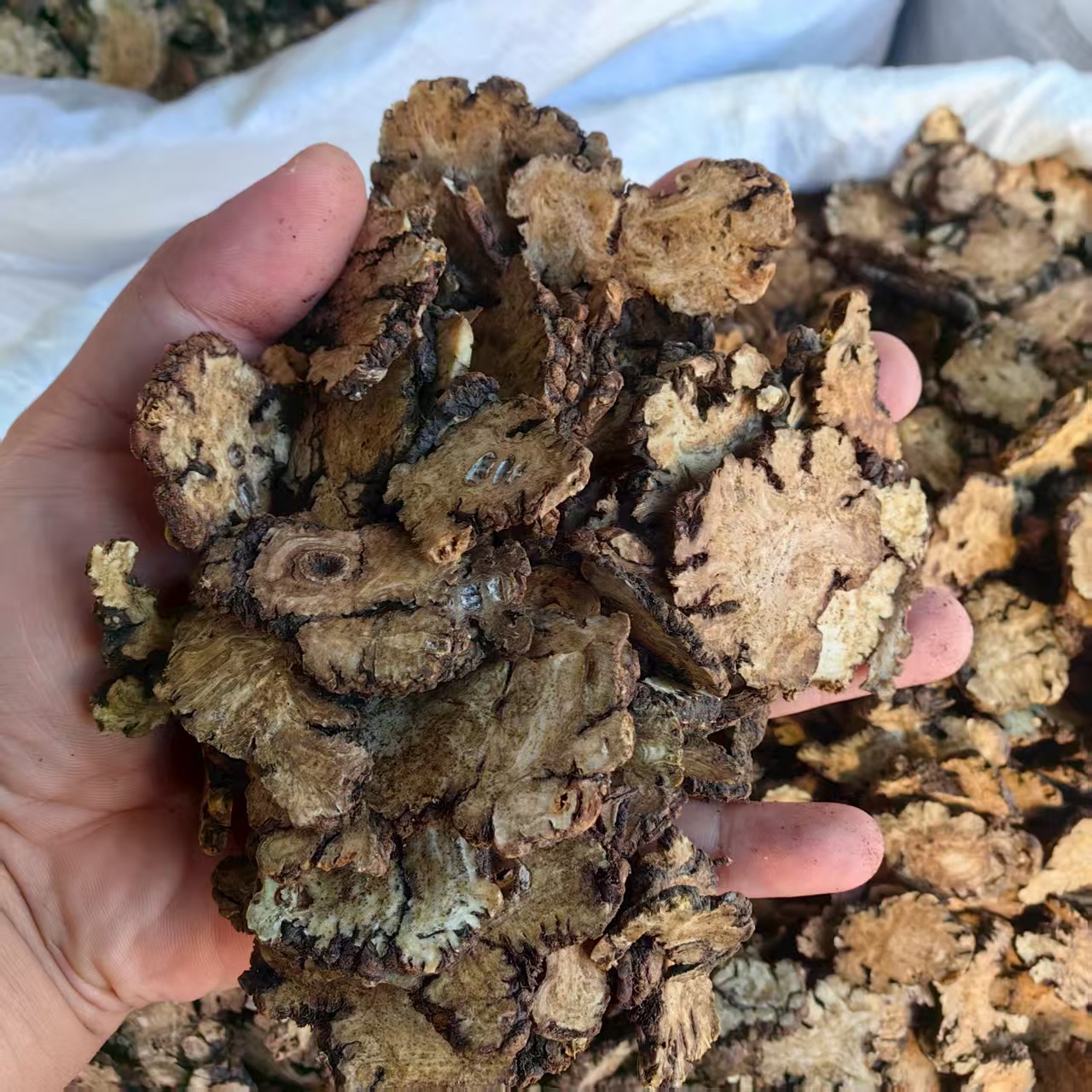 Chuanxiong Powder Sichuan Lovage Rhizome Fine Ground Herbal Powder 500g - Image 2