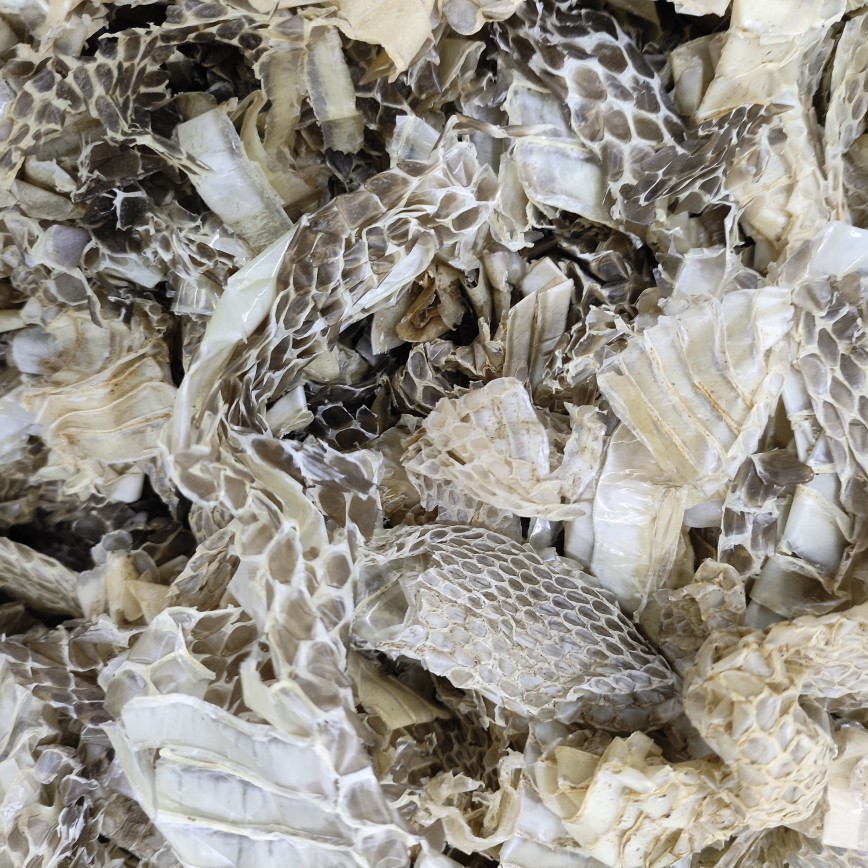 She Tui (Snake Slough) — Dried Shed Snake Skin, Traditional Chinese Herb, 500g - Image 3
