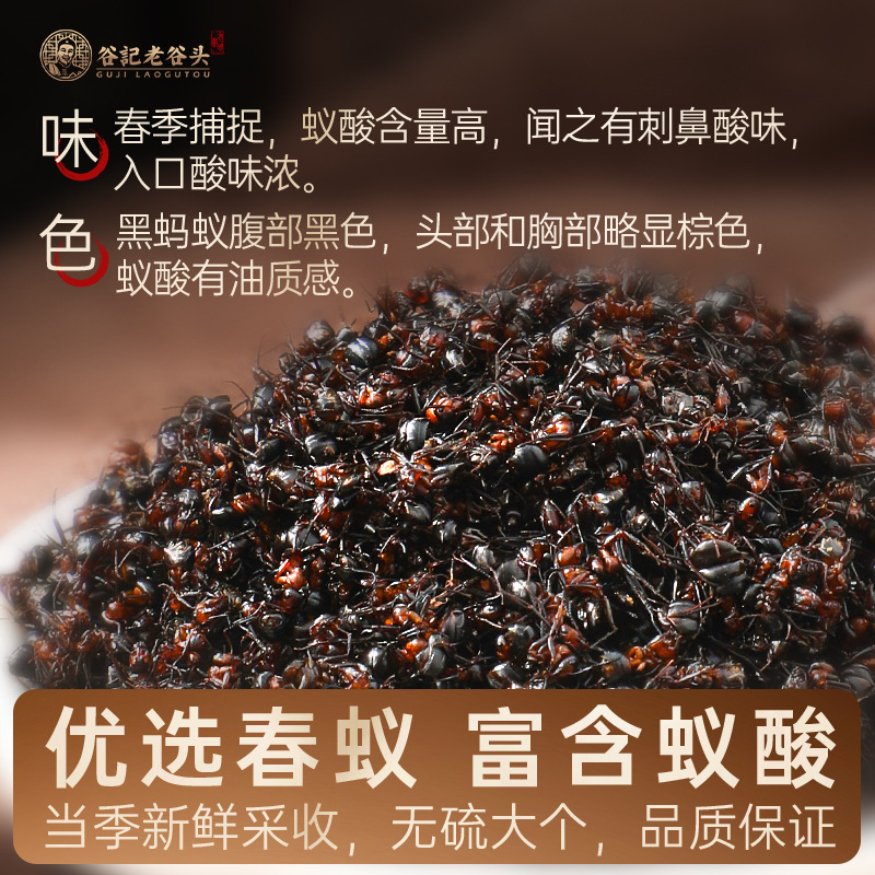 Changbai Mountain Black Ant Dried Whole Ants Traditional Herbal Use 170g - Image 2