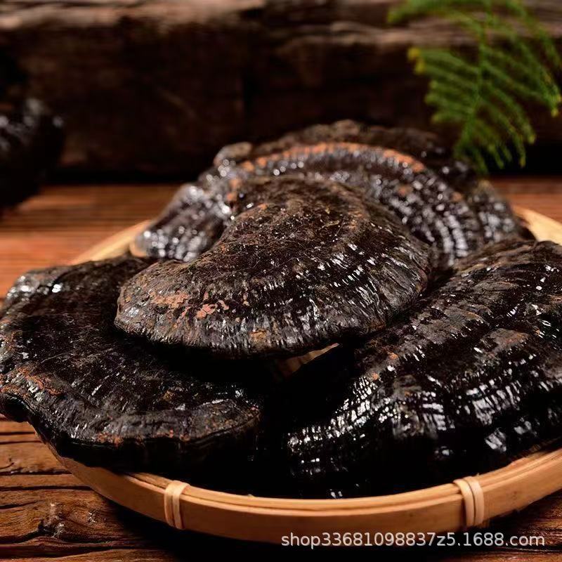 Black Reishi Mushroom Dried Whole Fruiting Body for Soup Tea and Wine Soaking 40kg Bulk - Image 4