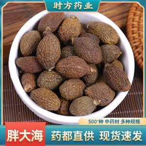 Pang Da Hai (Sterculia lychnophora) — Premium Dried Seed for Herbal Tea with Honeysuckle & Monk Fruit