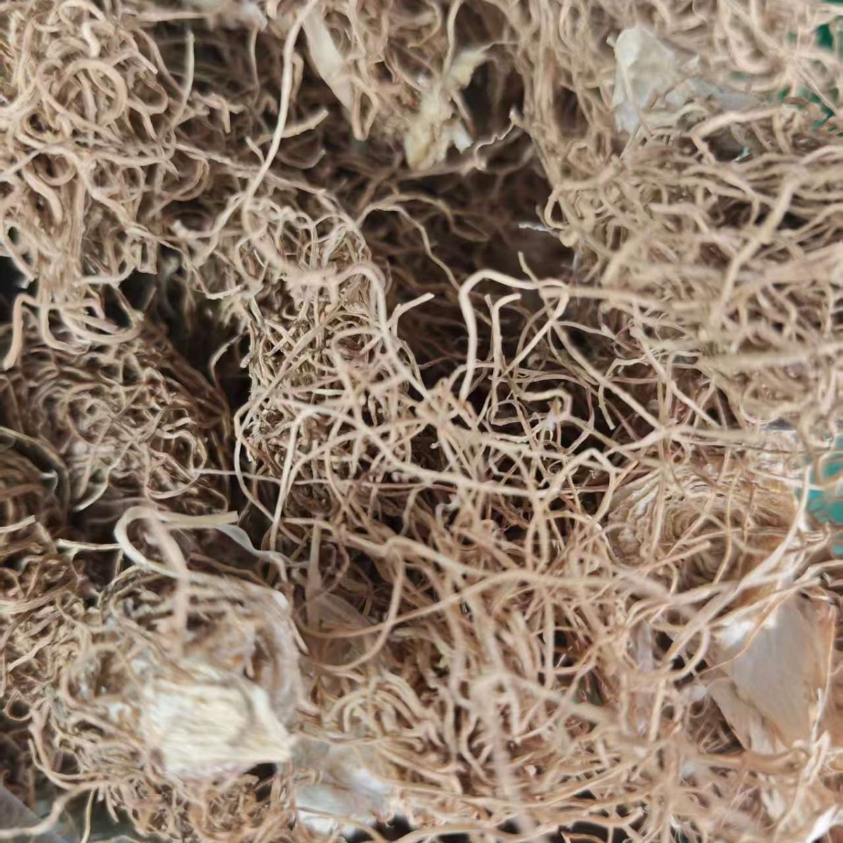 Scallion Root & Scallion White (Allium fistulosum) — Dried Culinary Herb for Cooking & Soup - Image 4