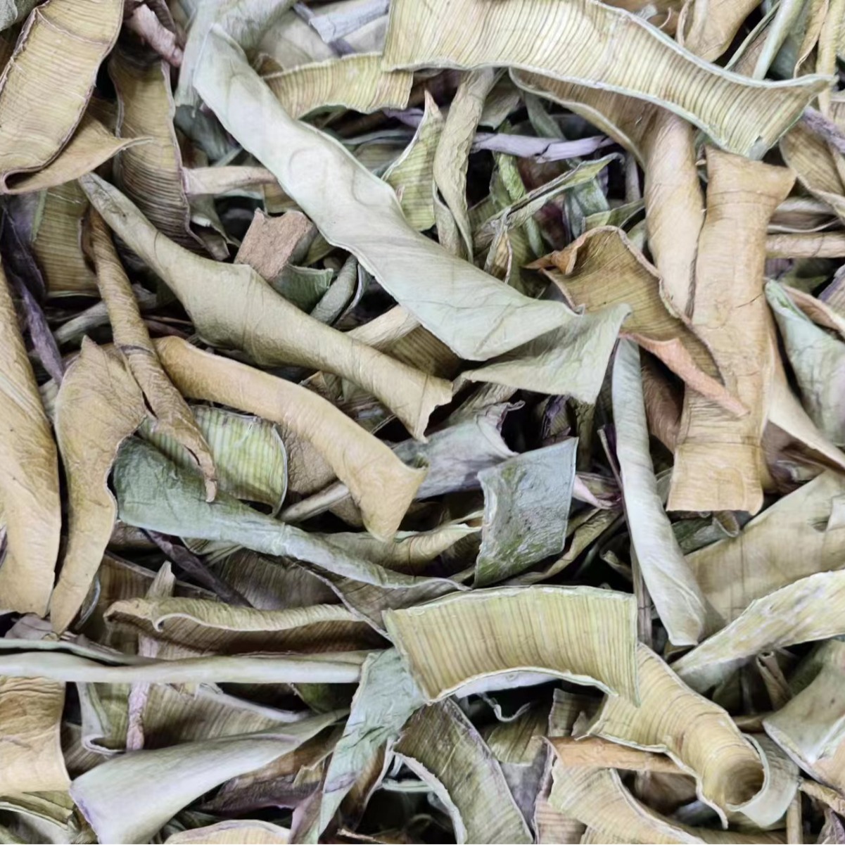 Aloe Peel (Aloe vera) — Dried Aloe Rind & Shreds, Food-Herb Botanical for Tea & Soaks - Image 4