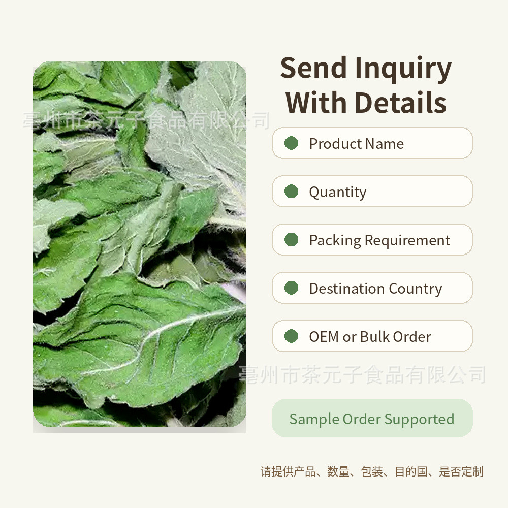 Dried Peppermint Leaf Bo He 薄荷叶 Herbal Tea Ingredient 500g - Image 5
