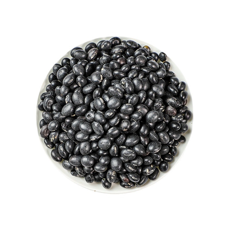 Black Soybeans (Glycine max) — Dried Food-Herb Beans from Heilongjiang for Soups & Congee - Image 5
