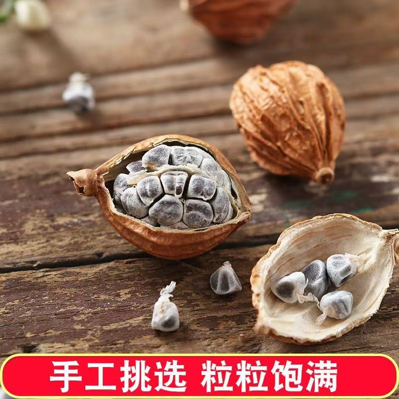Xiang Sha Ren Fragrant Amomum 500g Sichuan Dried Culinary Herb for Braising Stews and Marinades - Image 2