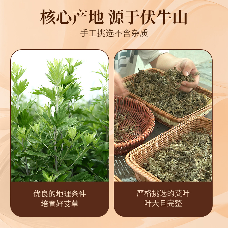 Dried Mugwort Leaf Foot Soak Pack Ai Ye 30g x 20 Bags External Herbal Bath and Hair Rinse - Image 3